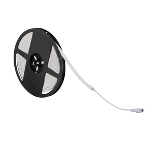 LED Neon Flex