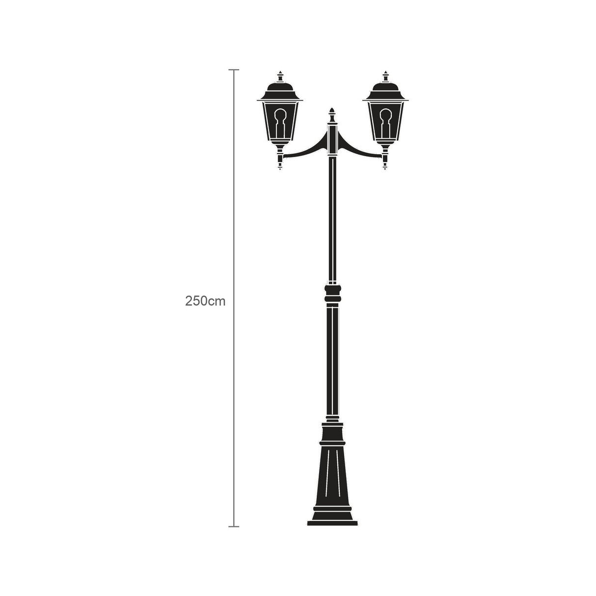 Black cast aluminium 2-light outdoor lamp post, 250cm tall, with domed lantern heads on curved arms, decorative column and stepped plinth base, shown as a line illustration on a white background.