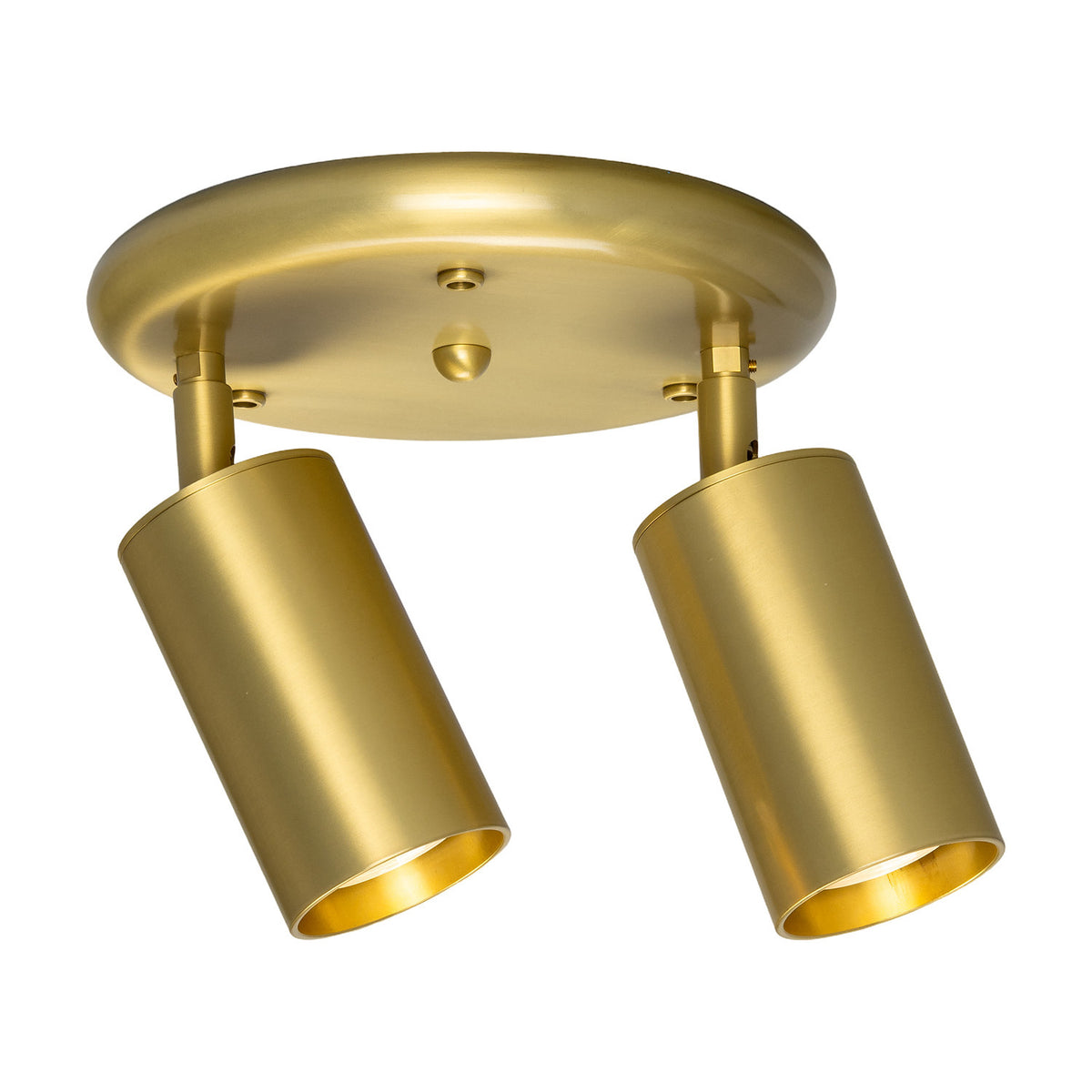 Corvessa Brass 2 Light Ceiling Spotlight