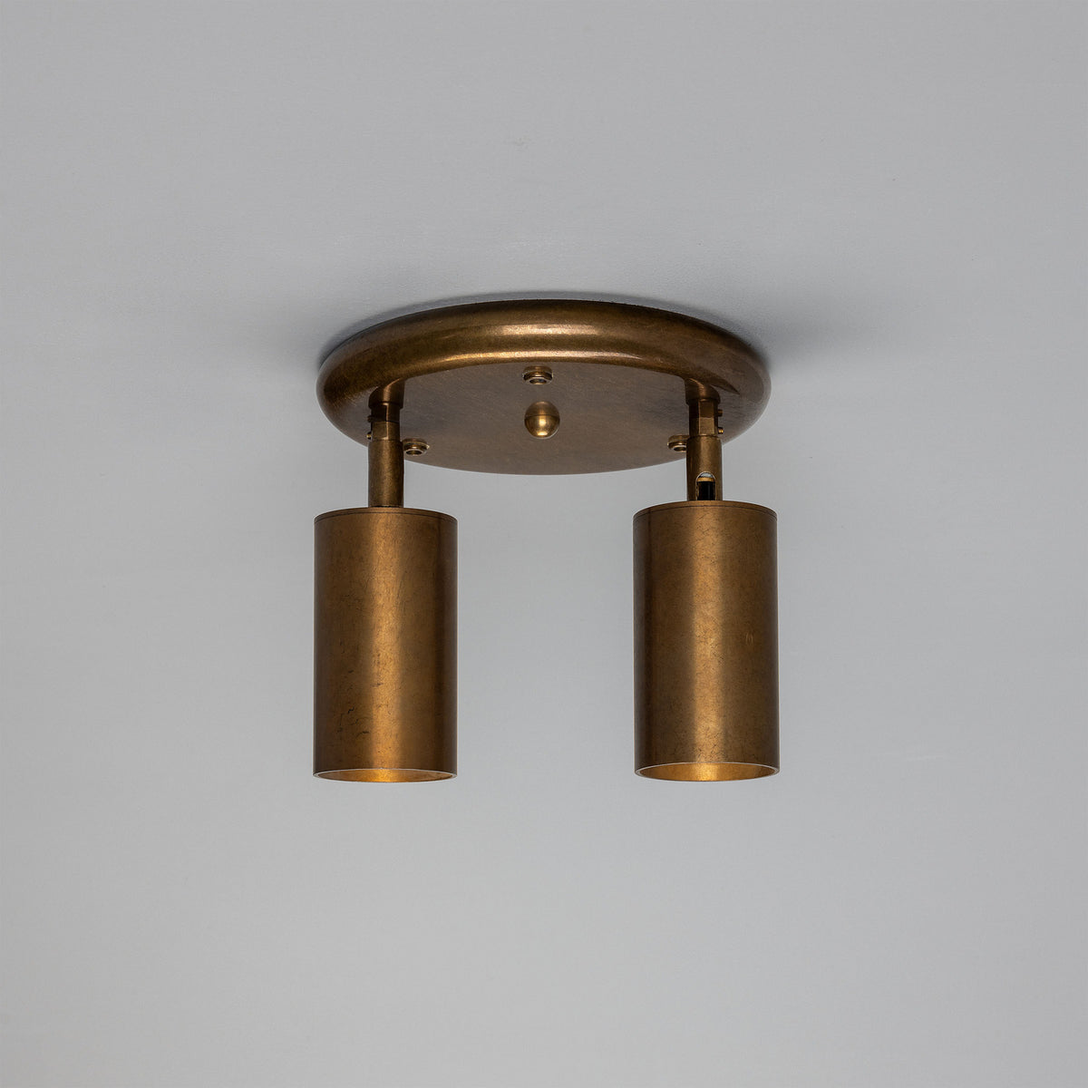 Corvessa Brass 2 Light Ceiling Spotlight