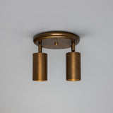 Corvessa Brass 2 Light Ceiling Spotlight