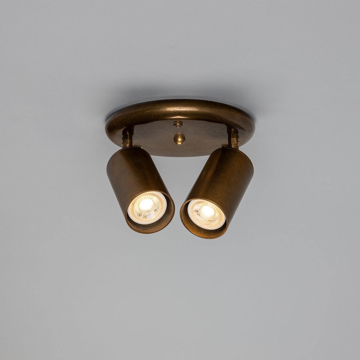 Corvessa Brass 2 Light Ceiling Spotlight