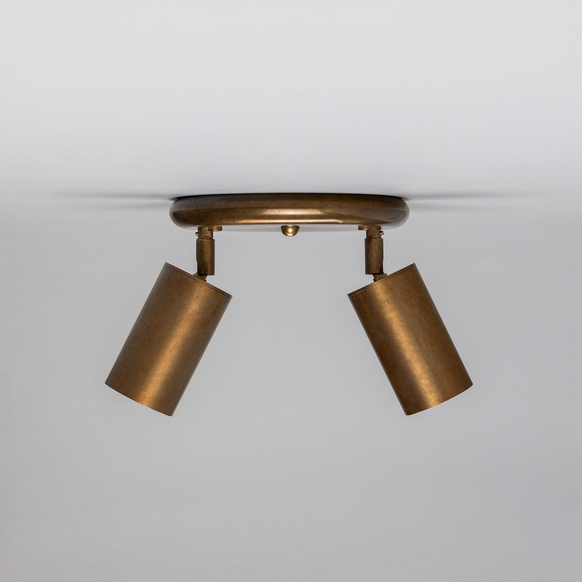 Corvessa Brass 2 Light Ceiling Spotlight