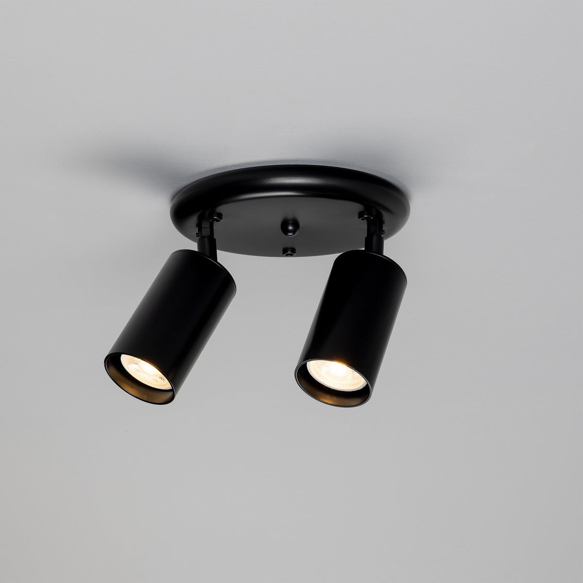 Corvessa Brass 2 Light Ceiling Spotlight