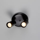 Corvessa Brass 2 Light Ceiling Spotlight