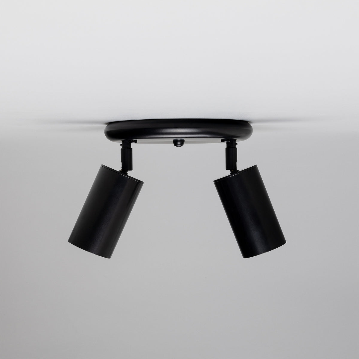 Corvessa Brass 2 Light Ceiling Spotlight