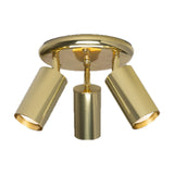 Corvessa Brass 3 Light Ceiling Spotlight