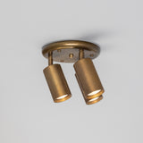 Corvessa Brass 3 Light Ceiling Spotlight
