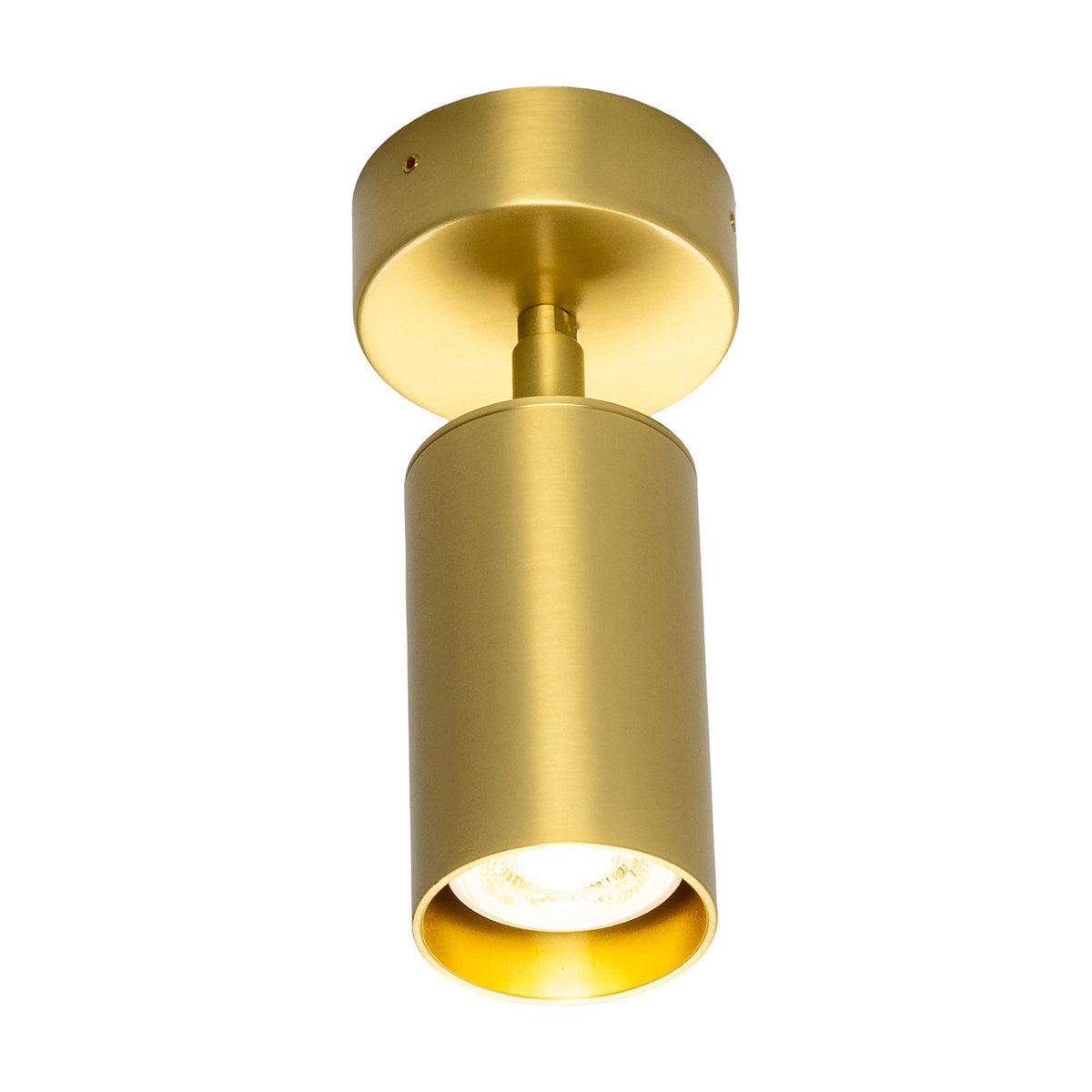 Corvessa Brass Ceiling Spotlight