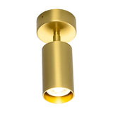 Corvessa Brass Ceiling Spotlight