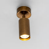 Corvessa Brass Ceiling Spotlight
