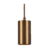 Corvessa Brass Pendant Light