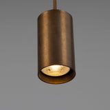 Corvessa Brass Pendant Light