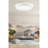Dernessa 5 Light Flush Ceiling Light - White