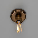 Devon Brass Flush Ceiling Light