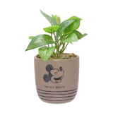 Mickey Mouse Laughing Face Striped Ceramic Planter - Brown