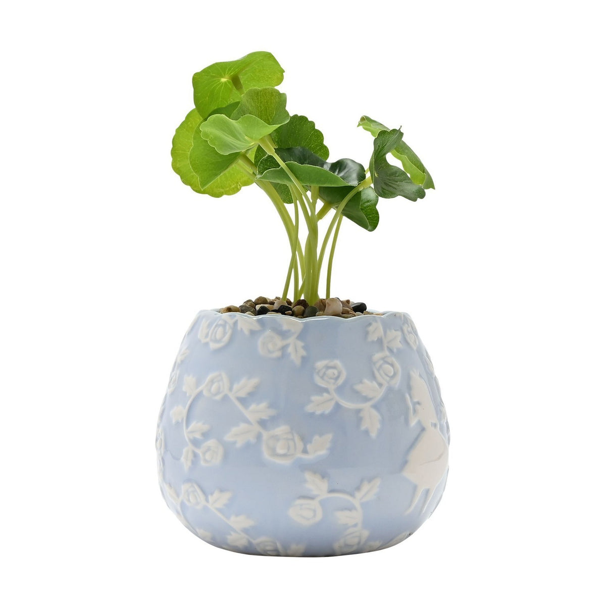 Round blue ceramic mini planter with scalloped rim and raised white Alice in Wonderland rose design, holding a faux green leafy plant on a plain white background.