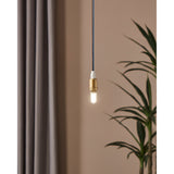 Pendant light fitted with a dimmable G9 LED capsule bulb, brass holder and dark cable, glowing warm white against a neutral wall with curtain and plant nearby.