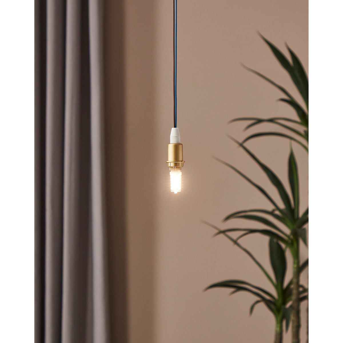 Dimmable LED G9 capsule bulb lit warm white in a brass pendant fitting, shown against a muted pink wall with curtain and plant in the background.