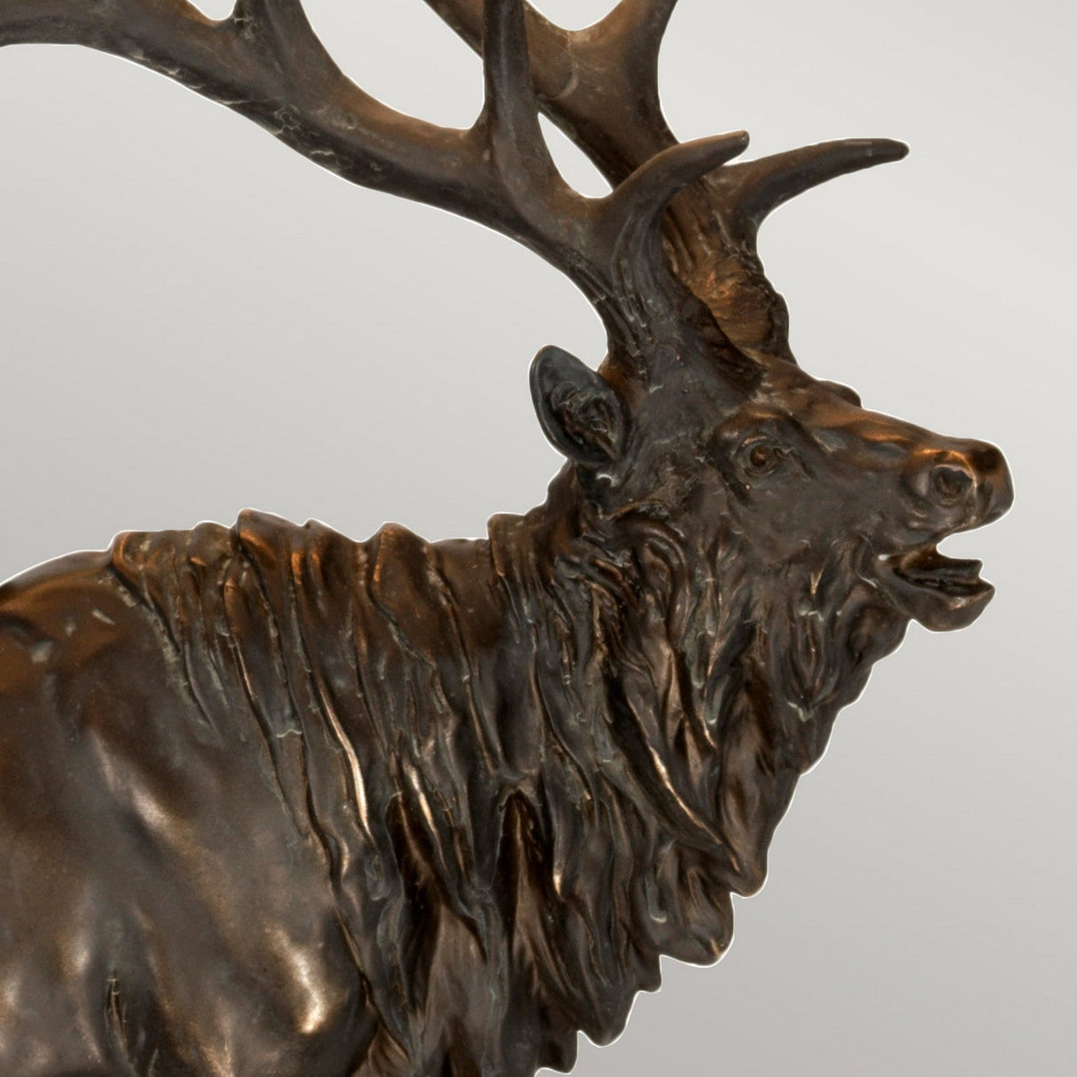 A detailed representation of the roaring stag features large, intricately carved antlers in a rich bronze patina, reminiscent of the Angus-2 Table Lamp. The sculpture beautifully captures the animal’s expressive features and textured fur against a neutral setting.