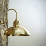 Dovrin Brass Swan Neck Wall Light IP65