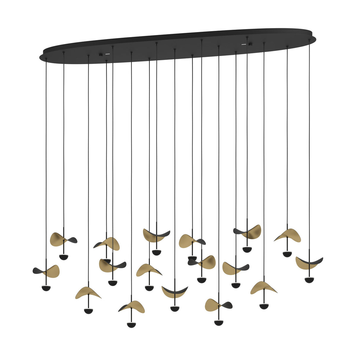 Dracera 17 Light Linear Pendant Light in black steel, oval canopy with seventeen cords holding curved leaf-shaped shades in black and gold, each above a black dome LED, on a white background.