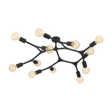 Dramenne 12 Light Ceiling Light - Black