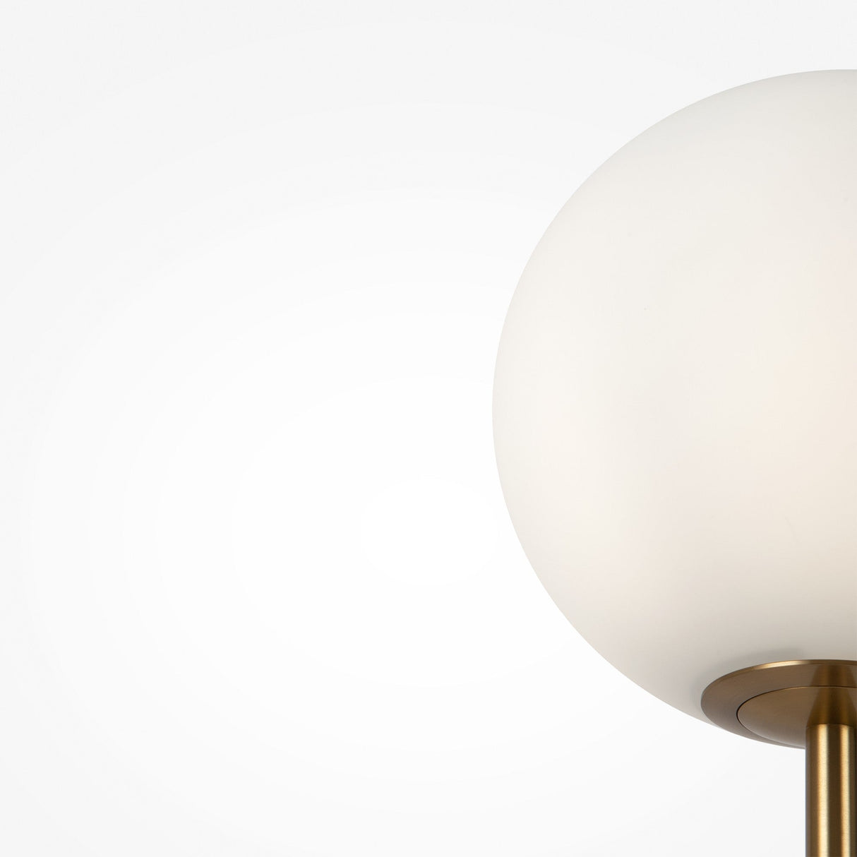 A minimalist close-up highlights the modern Ring Floor Lamp - Brass, featuring a large frosted glass globe on an elegant brass stand, set against a plain white background.