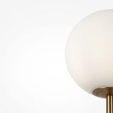 A minimalist close-up highlights the modern Ring Floor Lamp - Brass, featuring a large frosted glass globe on an elegant brass stand, set against a plain white background.