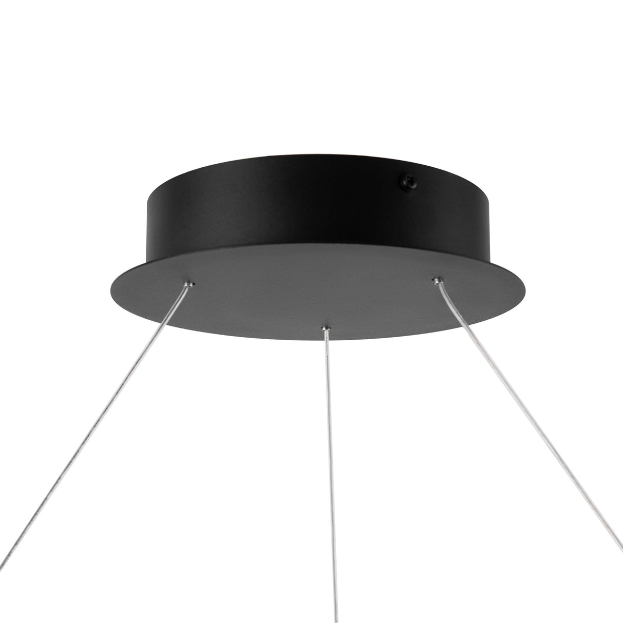 Element detail of Interstellar LED Circular Suspension Light in Graphite, illustrating the smooth, modern finish.