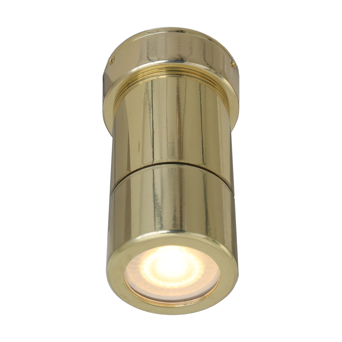 Ennis Brass Flush Ceiling Light IP44