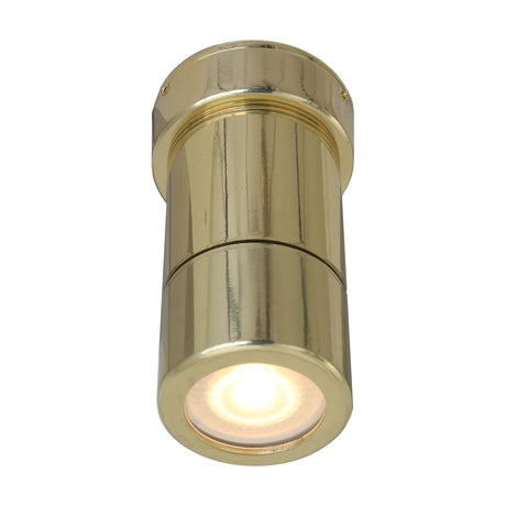 Ennis Brass Flush Ceiling Light IP44