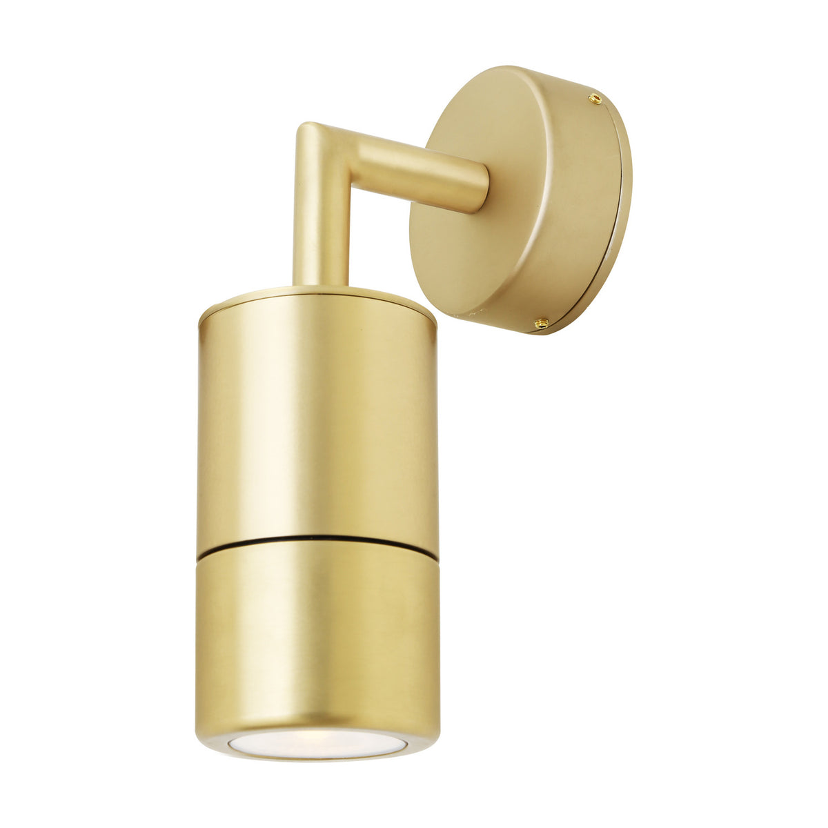 Ennis Brass Wall Light IP44