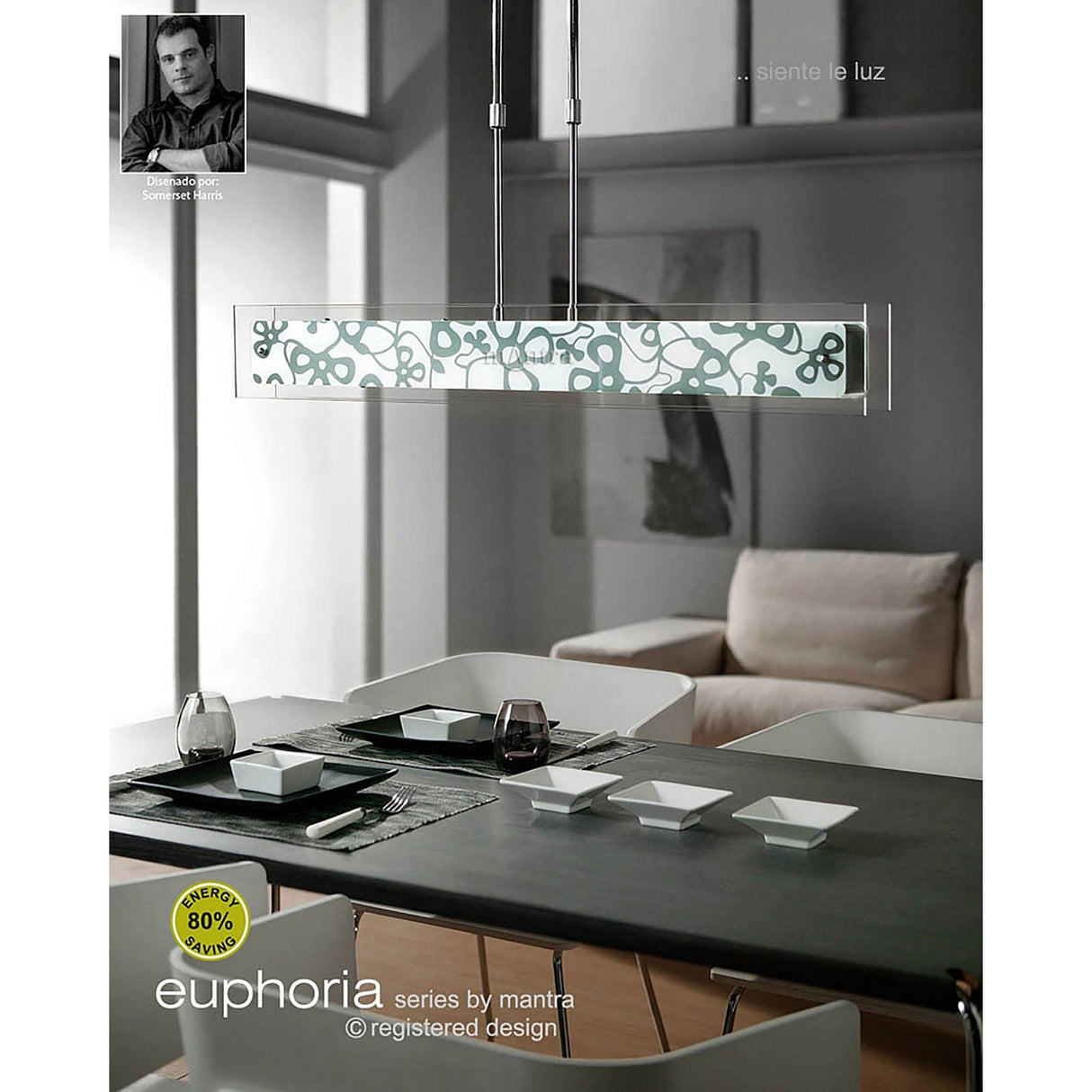 Euphoria Small 2 Light Glass Linear Suspension Light - Polished Chrome