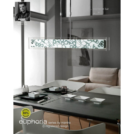 Euphoria Small 2 Light Glass Linear Suspension Light - Polished Chrome
