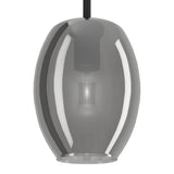 Firbora Smoked Glass Pendant Light 18cm - Black