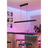 Flanvorne Smart Colour Changing Pendant Light - Black