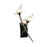 Flavia  2 Light Wall Light With Switch - Black Chrome