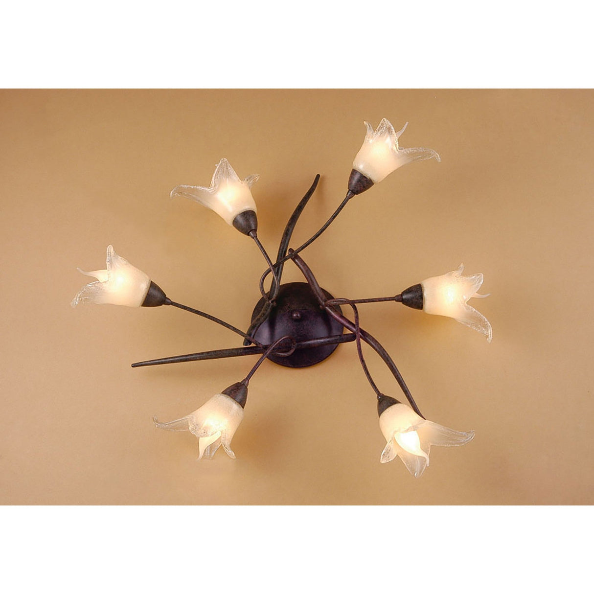 Florida 6 Light Semi-Flush Ceiling Light - Brown/Black Oxide