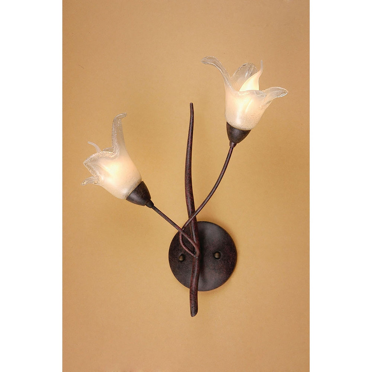 Florida 2 Light Wall Light With Switch - Brown/Black Oxide