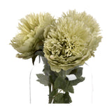Green Peony