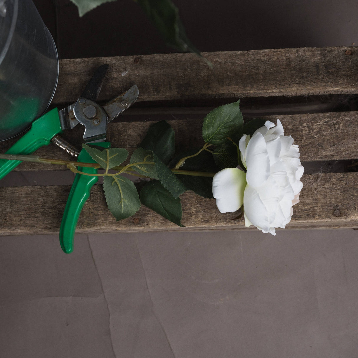 Hill Interiors Blush Garden Rose faux flower with white bloom and green leaves resting on a rustic wooden crate beside green-handled secateurs.