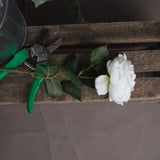 Hill Interiors Blush Garden Rose faux flower with white bloom and green leaves resting on a rustic wooden crate beside green-handled secateurs.