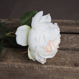 Hill Interiors Blush Garden Rose faux flower with layered white and blush pink petals on a bendable stem with green leaves, resting on rustic wood.