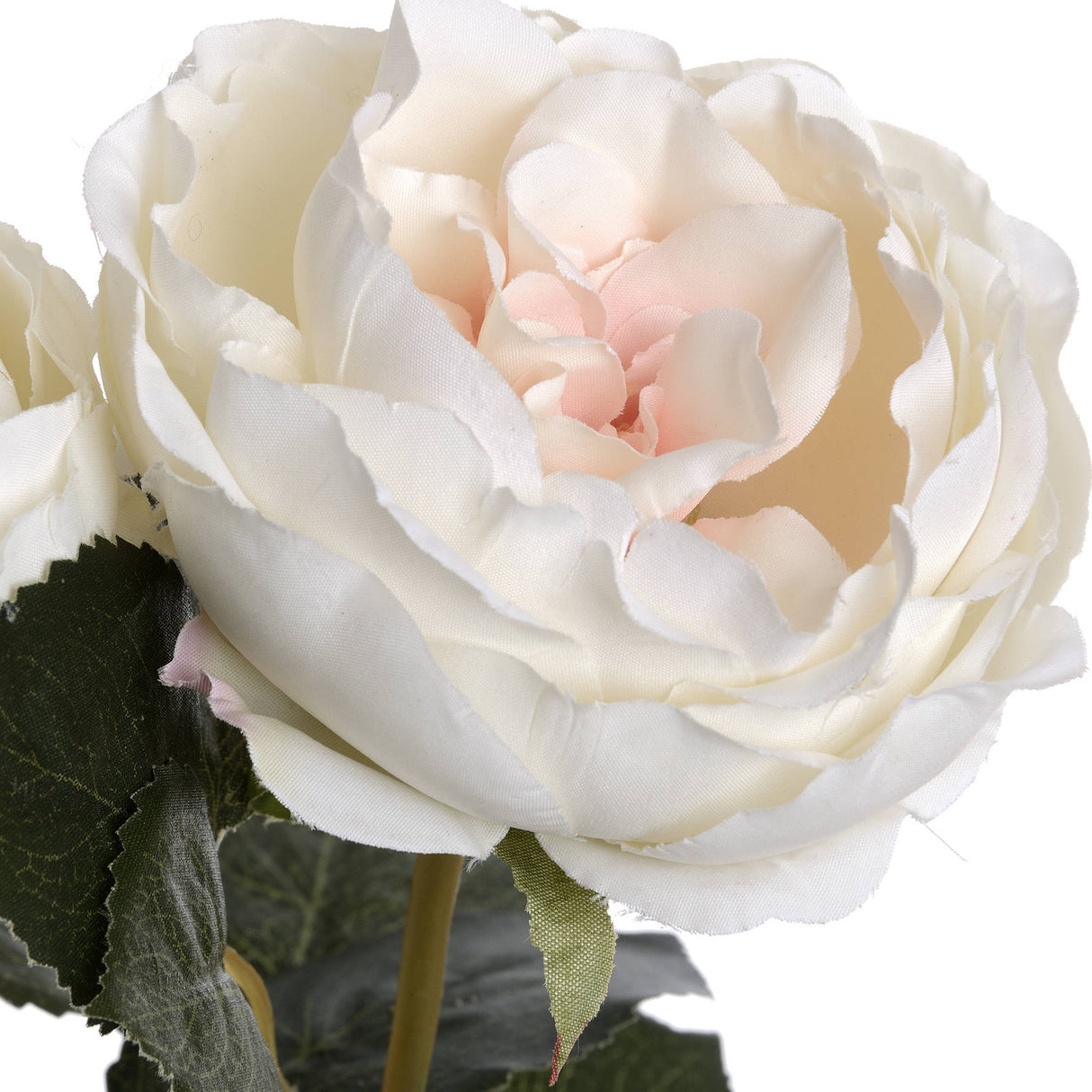 Close-up of the Hill Interiors Blush Garden Rose faux flower, showing layered white petals with a soft pink centre and textured green leaves.