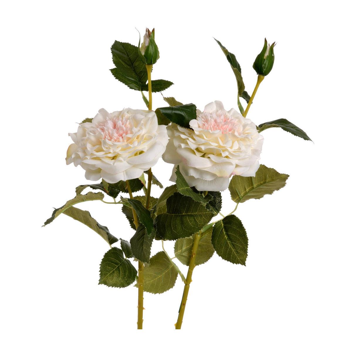 Hill Interiors White Garden Rose Spray faux stems with two ruffled ivory blooms, pink-tinted centres, green veined leaves and buds on a white background.