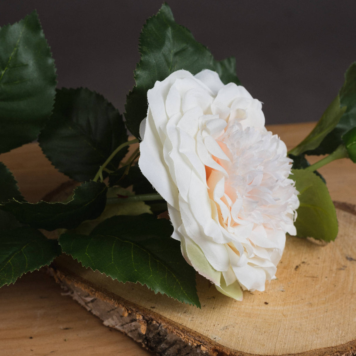 Hill Interiors White Garden Rose Spray with ruffled petals and veined green leaves resting on a rustic wood board against a grey background.