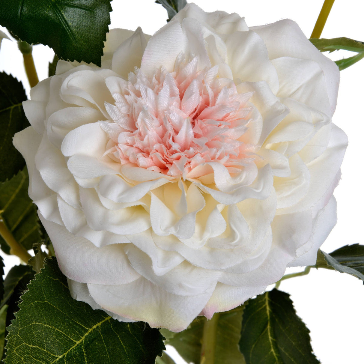 Close-up of Hill Interiors White Garden Rose Spray showing ruffled white petals around a soft pink centre, framed by veined green foliage.