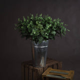 Hill Interiors Cineraria Eucalyptus Spray with muted green paired leaves arranged in a galvanised metal bucket on a wooden crate against a dark backdrop.