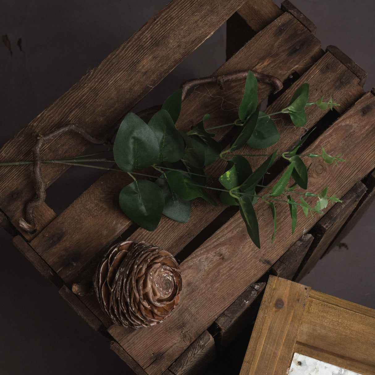 Hill Interiors Cineraria Eucalyptus Spray with paired green leaves along arching stems, laid on a rustic wooden crate beside a decorative pinecone.